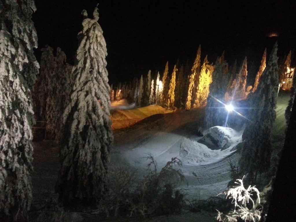 Koli Freetime Cottages Ahmovaara Екстер'єр фото