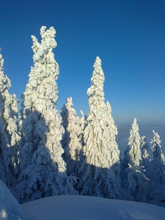Koli Freetime Cottages Ahmovaara Номер фото