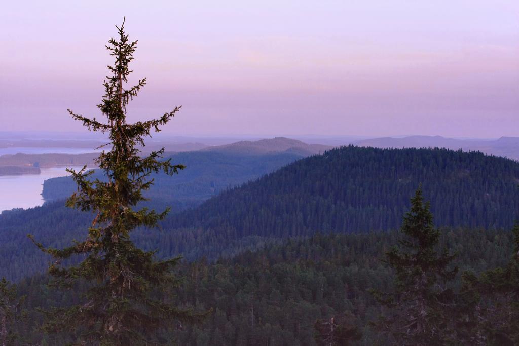 Koli Freetime Cottages Ahmovaara Номер фото