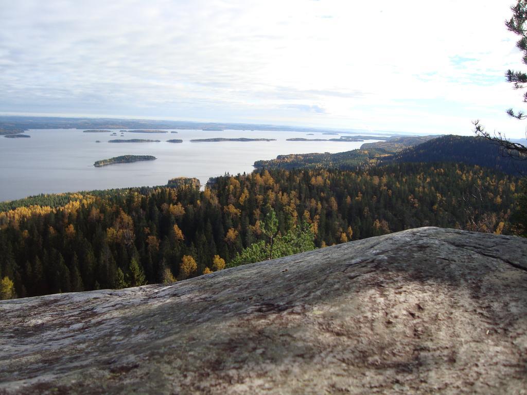 Koli Freetime Cottages Ahmovaara Номер фото