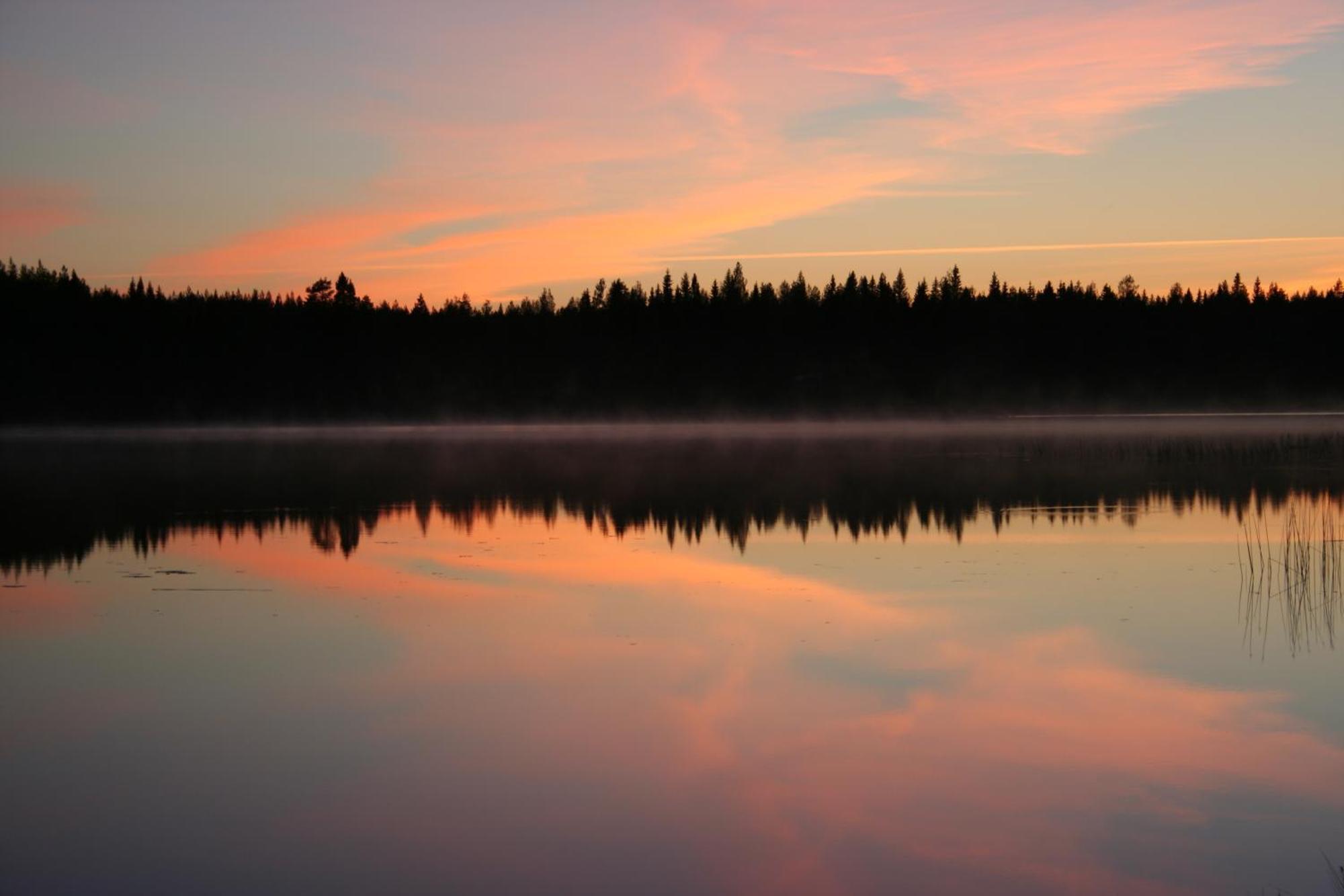 Koli Freetime Cottages Ahmovaara Номер фото