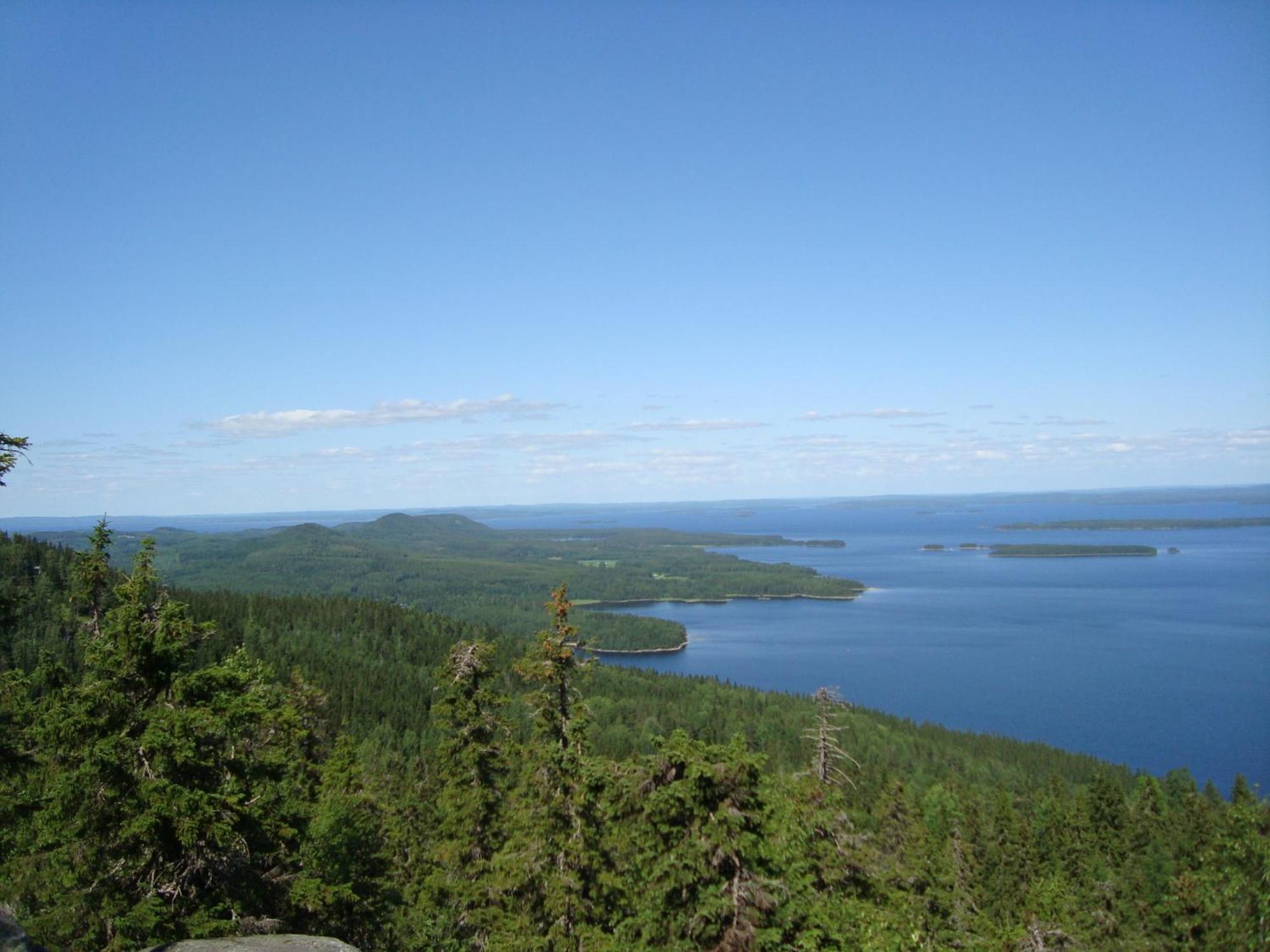 Koli Freetime Cottages Ahmovaara Номер фото